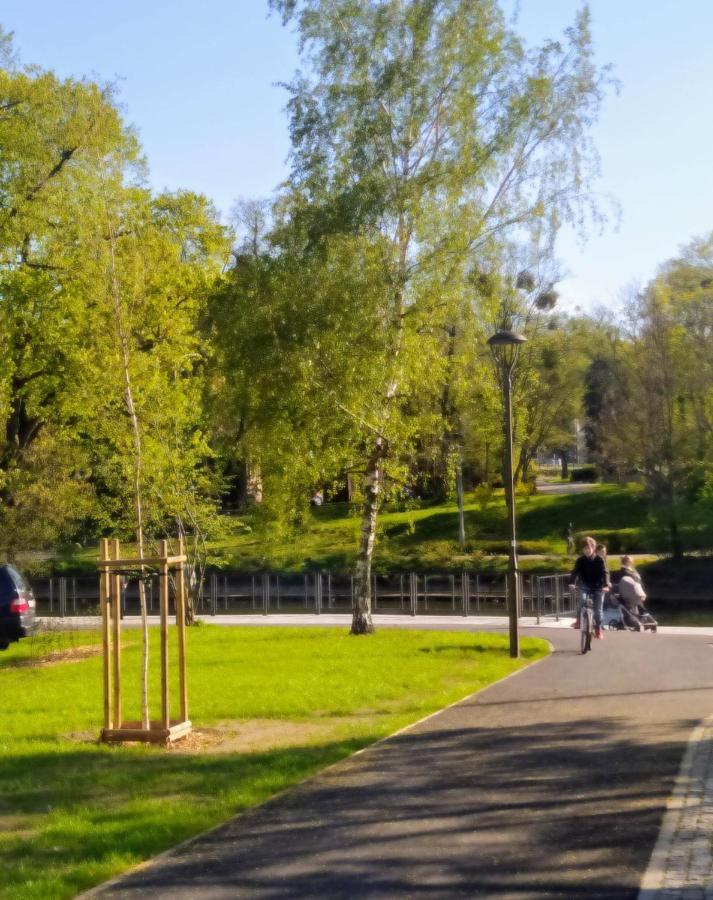 Up! Dwupoziomowe Mieszkanie W Centrum Bydgoszcz
